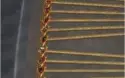 CONTA ALBION ONLINE-600M DE FAMA