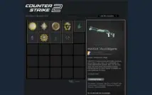 Conta cs2 prime com 5 medalhas