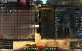 Conta Guild Wars 2 todas as expansões e mais