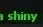 POKEMON SHINY ELECTRODE +0 PXG EMERALD