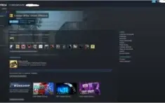 CONTA STEAM lvl 26