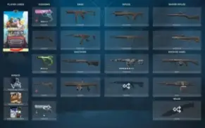 Conta EX-RADIANTE com amuleto e varias SKINS