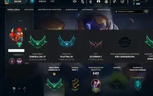 Esmeralda 4 com TODOS os champs e 176 Skins ( Nivel 452 )