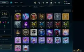 Conta Lol, Todos Os Champs, 461 Skins - D2 Flex E P4 Soloq