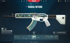 Conta Valorant Platina 2, com diversas skins