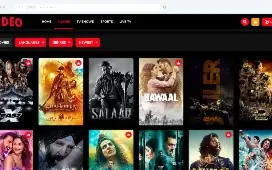 Video Streaming (TV Shows, Movies, Sports, Videos, TV)