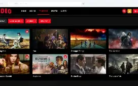 Video Streaming (TV Shows, Movies, Sports, Videos, TV)