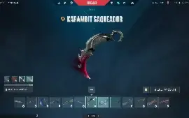 Conta Valorant Fa Vandal Preludio Karambit Saqueadora