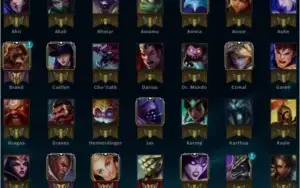 Conta Bronze 2
