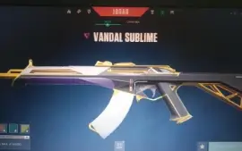 Conta Valorant De 50 a 100 skin + Passe