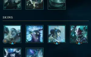Conta lolzin Top