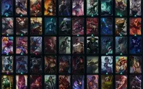 Conta D4 70 Skins