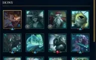 Conta D4 70 Skins