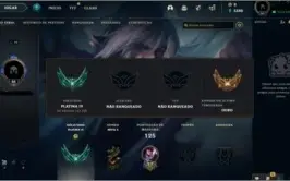 Conta Platina 4