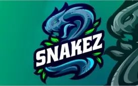 Eu vou Fazer sua logo e/ou Social media E-sport.
