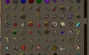 CONTA MAXXED RUNESCAPE VARIOS ITENS E CASH