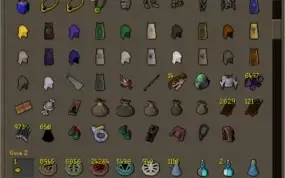 CONTA MAXXED RUNESCAPE VARIOS ITENS E CASH