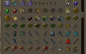 CONTA MAXXED RUNESCAPE VARIOS ITENS E CASH