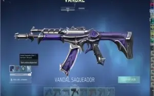 Conta Valorant (mais de 1k em skins)