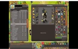Vendo ECAFLIP lv 200 full srool, com set, agi/str