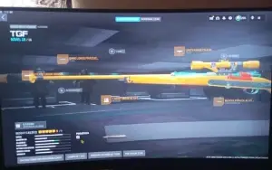 Vendo conta warzone