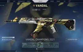 Conta Valorant com Vandal Champions