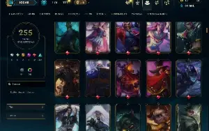 Unranked com TODOS os champs e 255 Skins ( MAIN ADC )