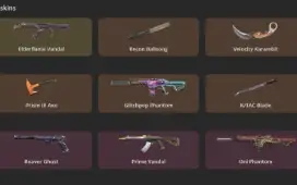 Conta Valorant Com Várias Skins Raras E Valiosas