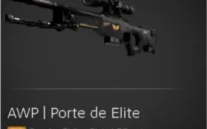 AWP / Porte de Elite / Testada em Campo