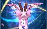 Conta High End La Omega
