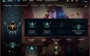 CONTA PLATINA 4,  CONTA PERFEITA!
