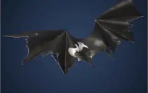 Asas do batman zero fortnite codigo global