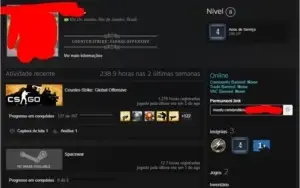 CS GO PRIME - 4/5 Medalhas - para fazer de Main