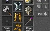 Vendo Elite Knight Pacera(opt-pvp) lvl 137