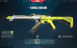 Conta de Valorant com Muitas Skins ( Valor Negociavel )
