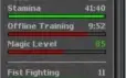 Sell Elder Druid Kenora - level 175 - 20kk / EK 203 Pythera