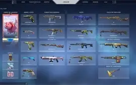conta de valont com muitas skins, ex imortal 1024R$ gasto
