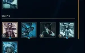 CONTA PLATINA IV + CONTA GOLD IV