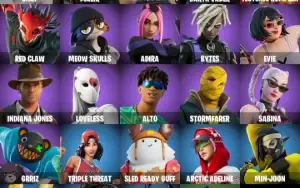 Fortnite 24 Skins - Pc