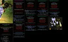 Megamu-SET-BK exc+9-Phoenix-Divine Archangel+13-Wings+9