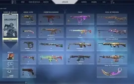 Conta com muitas Skin e elo Platina