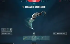 Conta Valorant Kit Saqueador + Skins