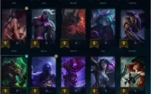 conta plat 4