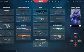 Conta radiante em varias seasons, 1000 reais em skins