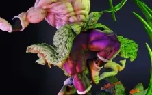 Gogeta Blue vs Broly Super Saiyan Legendary 3D STL