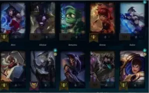 CONTA D4 55% WR