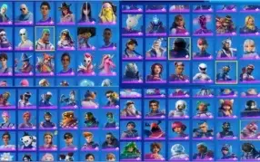 conta fortnite 310 skins muitos passes wild cat minty e etc