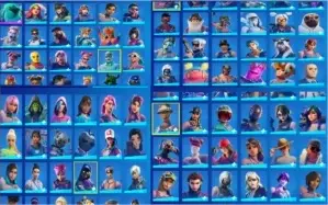 conta fortnite 310 skins muitos passes wild cat minty e etc