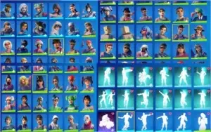 conta fortnite 310 skins muitos passes wild cat minty e etc