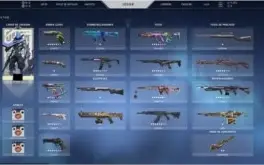 Conta de valorant com muias skins (imortal)